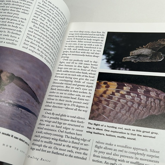 🌻4/$20 Vintage How to Spot An Owl Softcover 1994 Softcover Book Chapters Publ - Picture 6 of 16